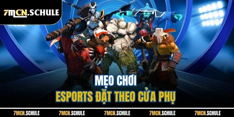 Mẹo Chơi ESports 7M - Ngọn Gió Giải Trí Mới Mẻ 2025 8 Mẹo chơi Esports đặt theo cửa phụ