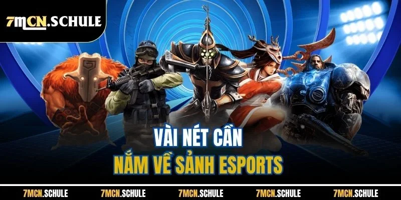 Mẹo Chơi ESports 7M - Ngọn Gió Giải Trí Mới Mẻ 2025 6 Vài nét cần nắm về sảnh Esports